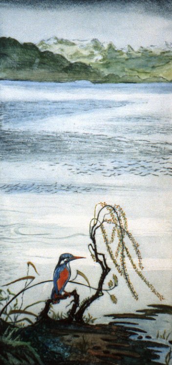 Eisvogel am Bodensee, 1949